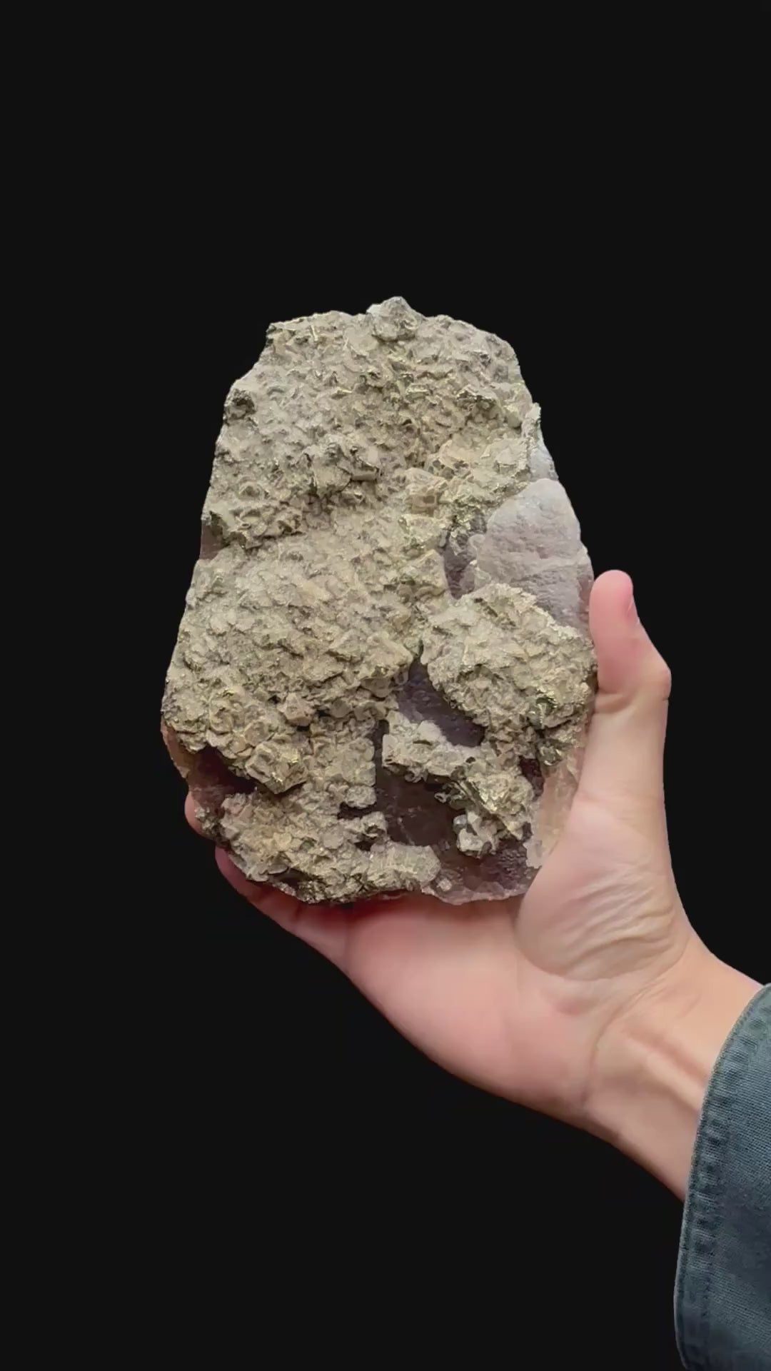 Specimen rotation video 229