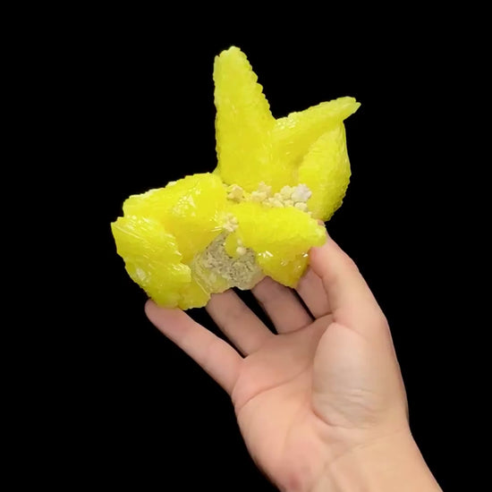 Specimen rotation video 0646
