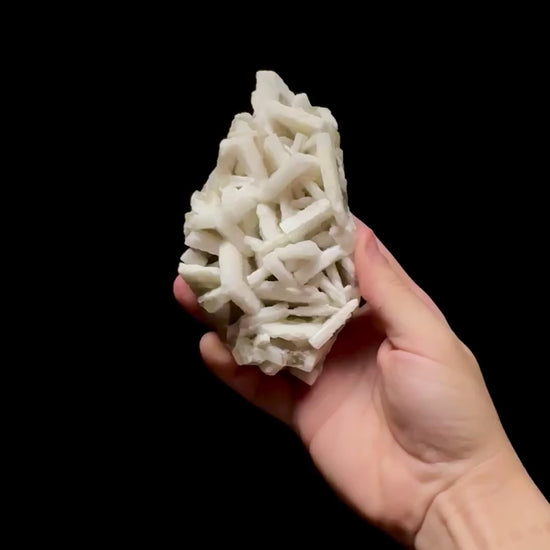 Specimen rotation video 0754