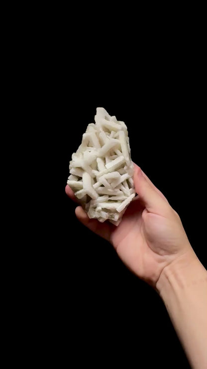 Specimen rotation video 0754