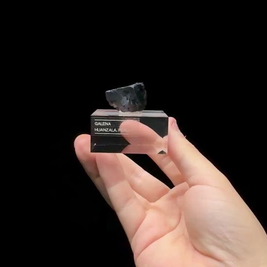 Specimen rotation video 0582