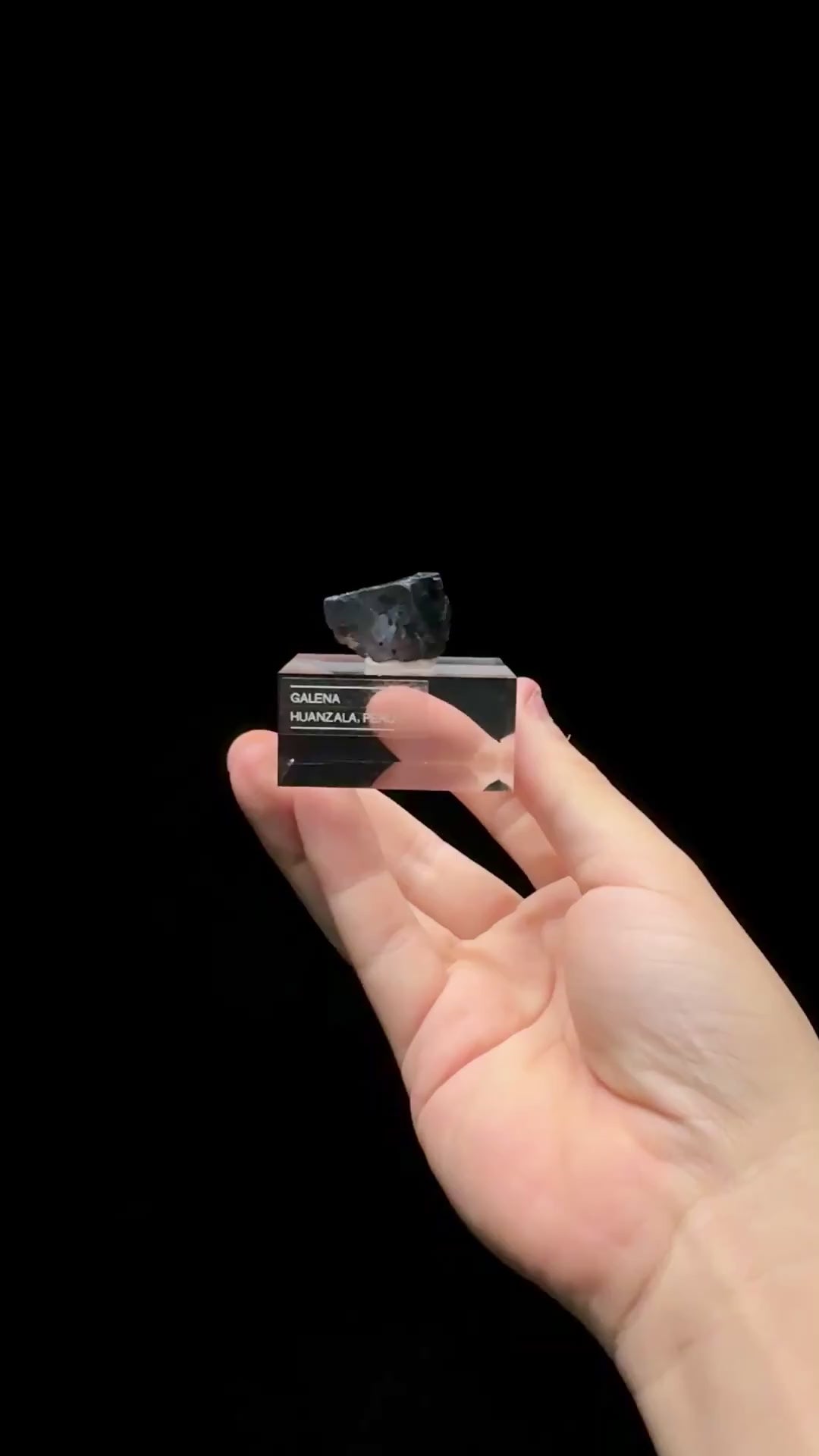 Specimen rotation video 0582