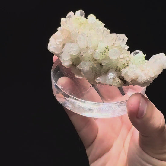 Specimen rotation video 313