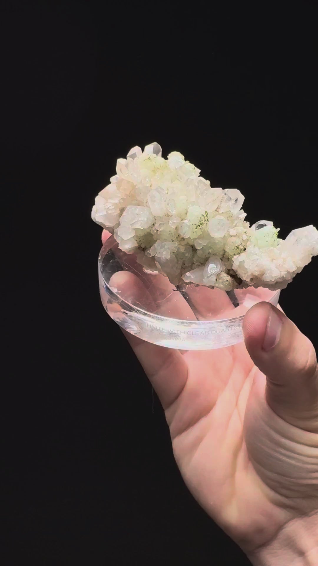 Specimen rotation video 313