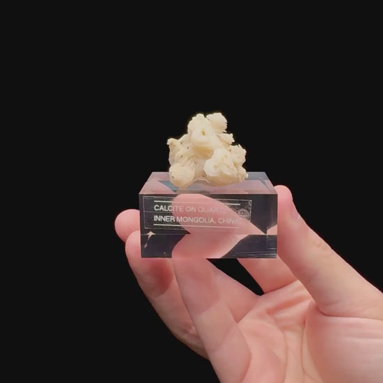 Specimen rotation video 094