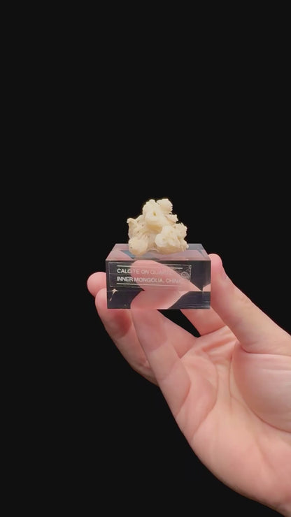 Specimen rotation video 094