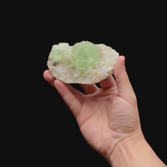 Specimen rotation video 0414
