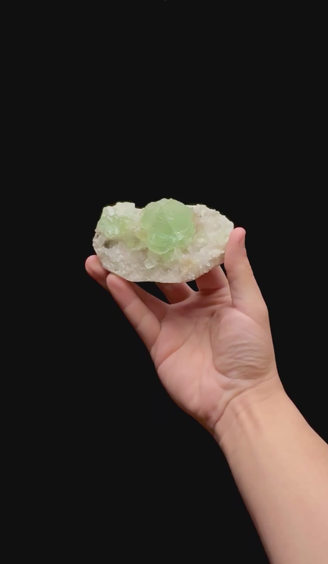 Specimen rotation video 0414
