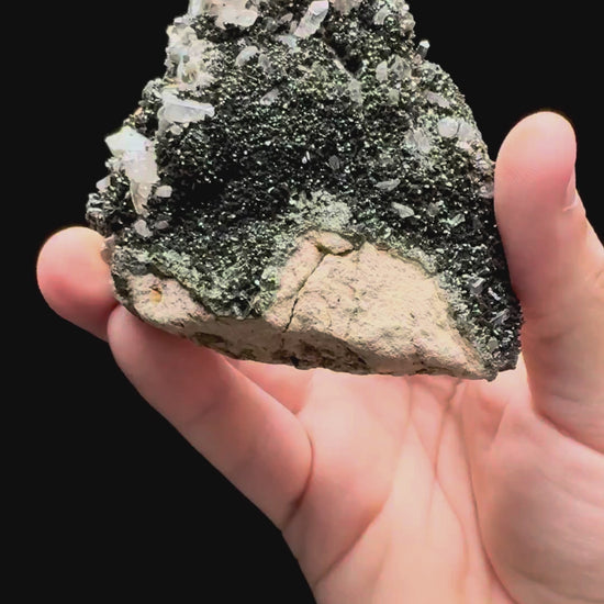 Specimen rotation video 636