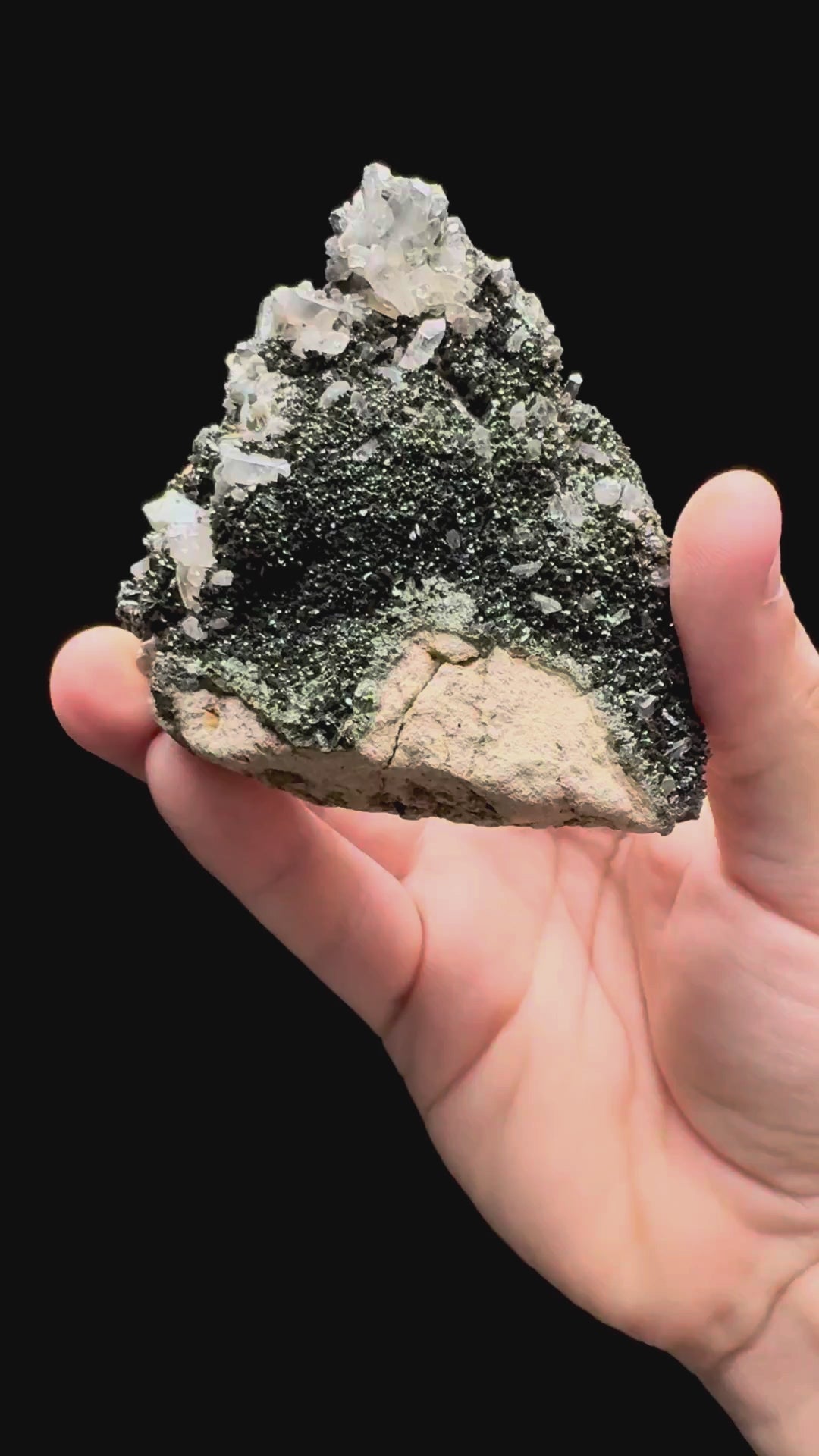 Specimen rotation video 636