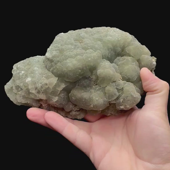 Specimen rotation video 230