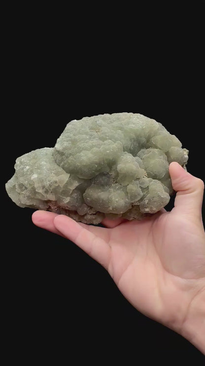 Specimen rotation video 230