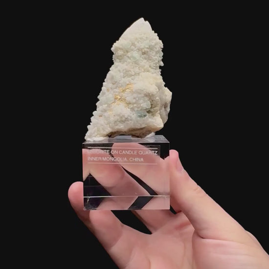 Specimen rotation video 097