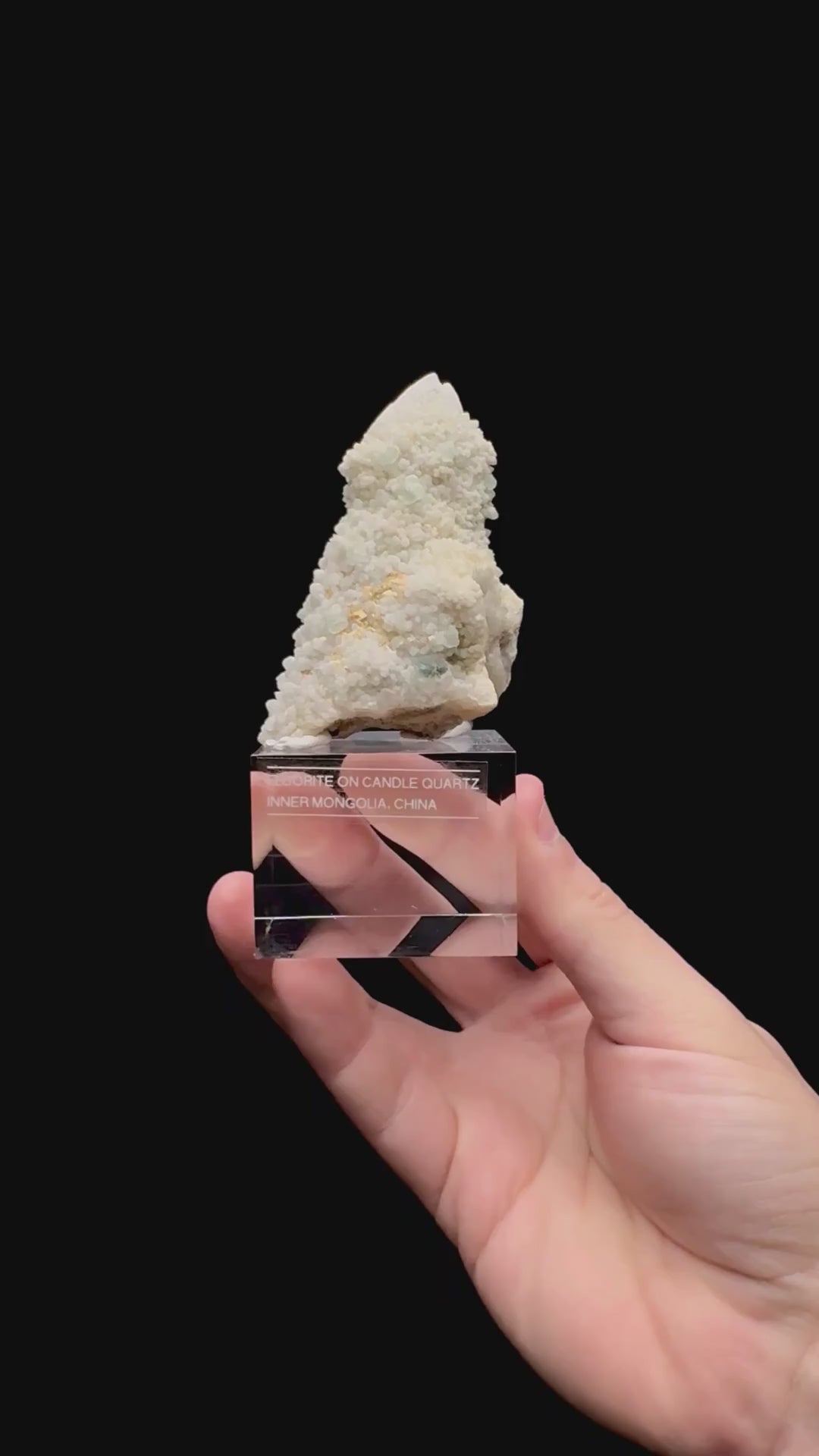 Specimen rotation video 097