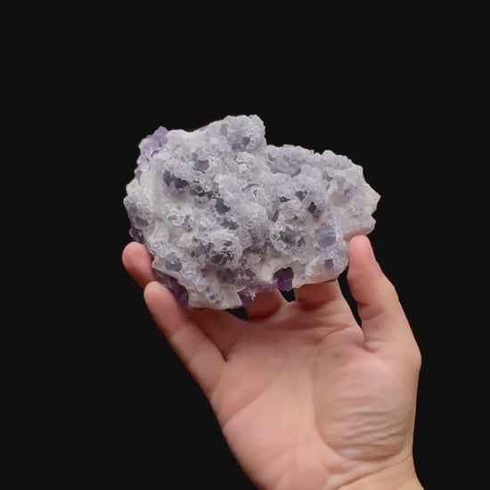 Specimen rotation video 0427