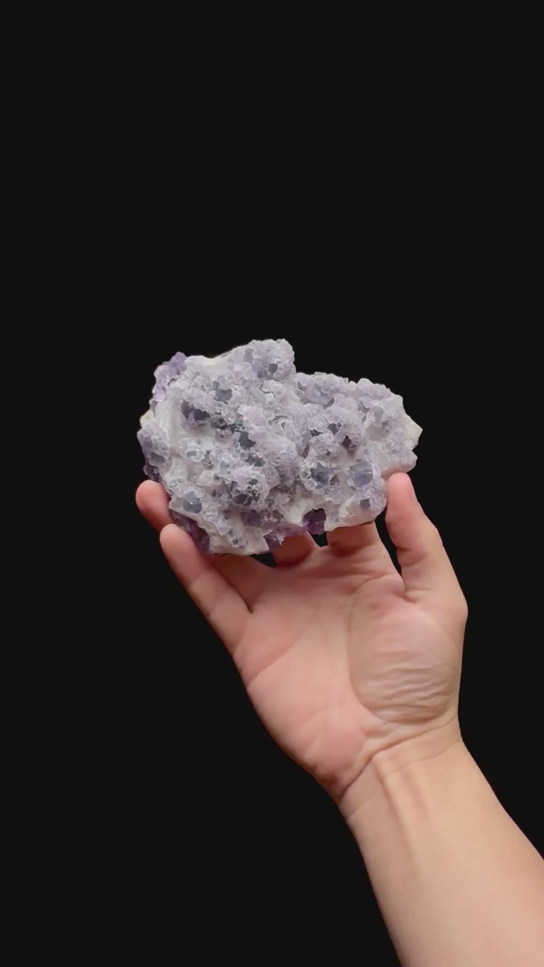 Specimen rotation video 0427