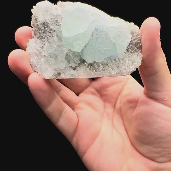 Specimen rotation video 484