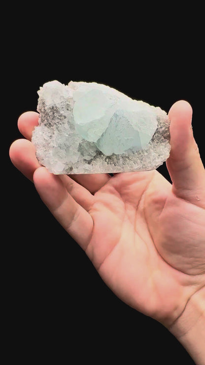 Specimen rotation video 484
