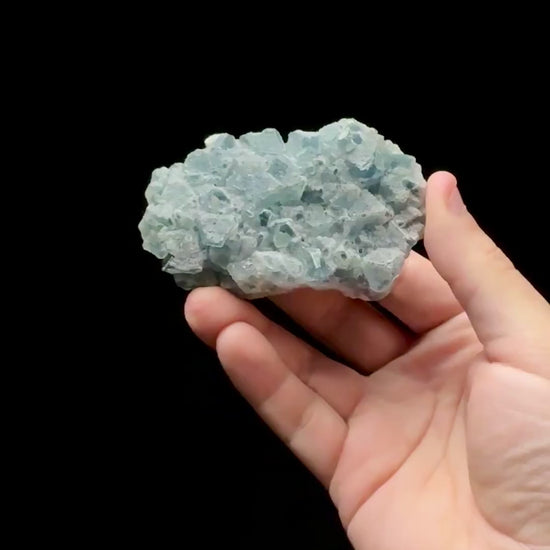 Specimen rotation video 0616