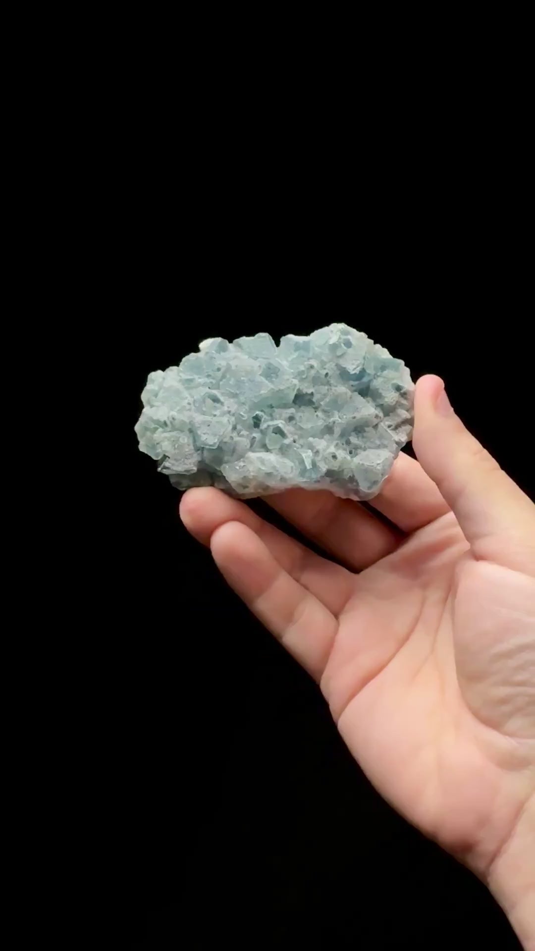 Specimen rotation video 0616