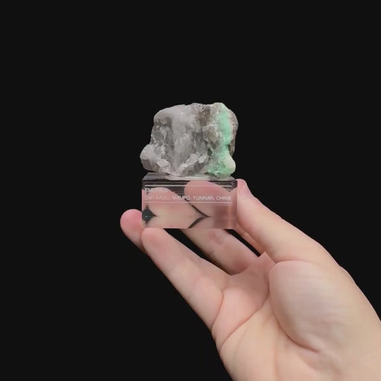 Specimen rotation video 0500