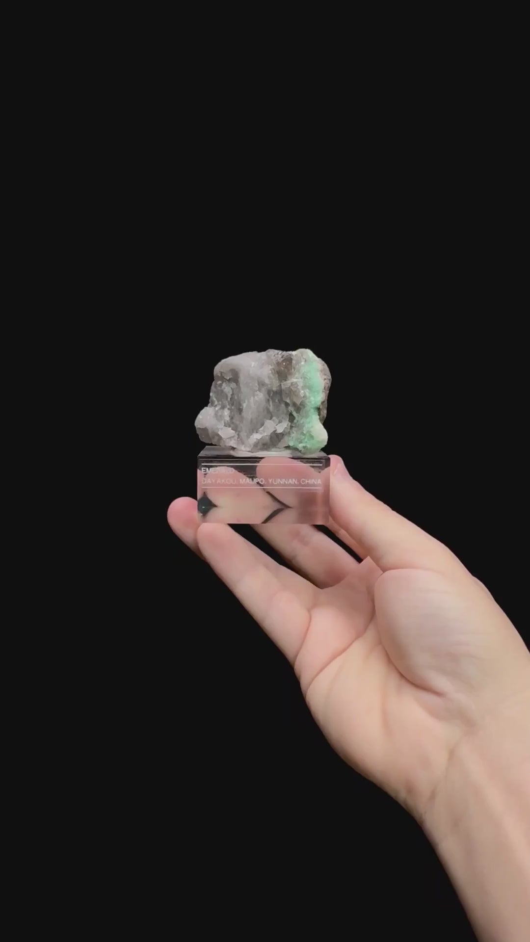 Specimen rotation video 0500