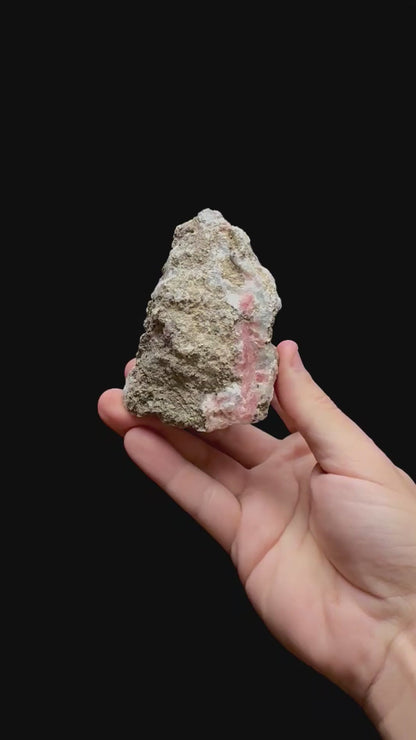 Specimen rotation video 0358