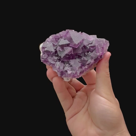 Specimen rotation video 0293