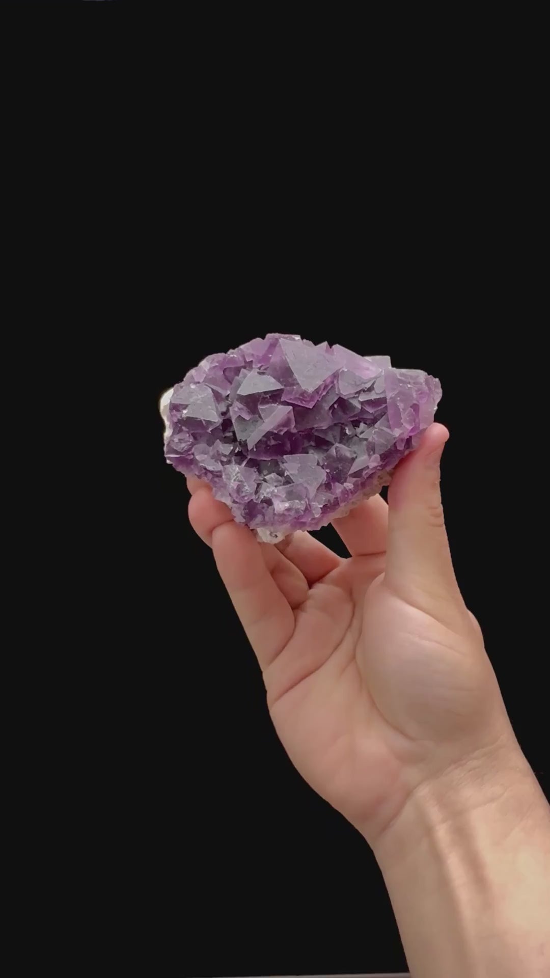 Specimen rotation video 0293