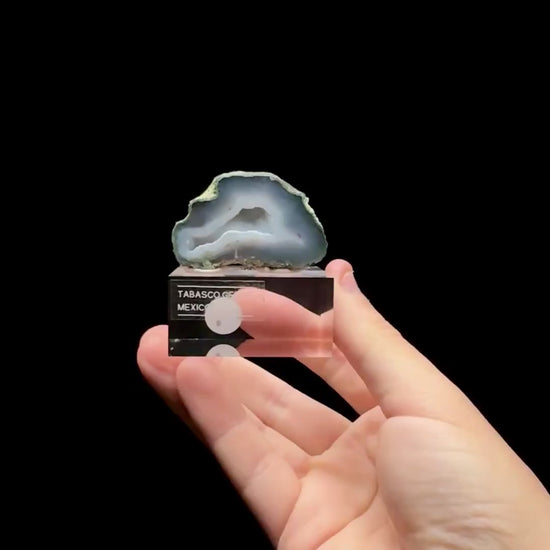 Specimen rotation video 0660