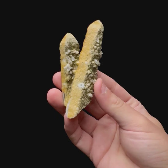 Specimen rotation video 0269