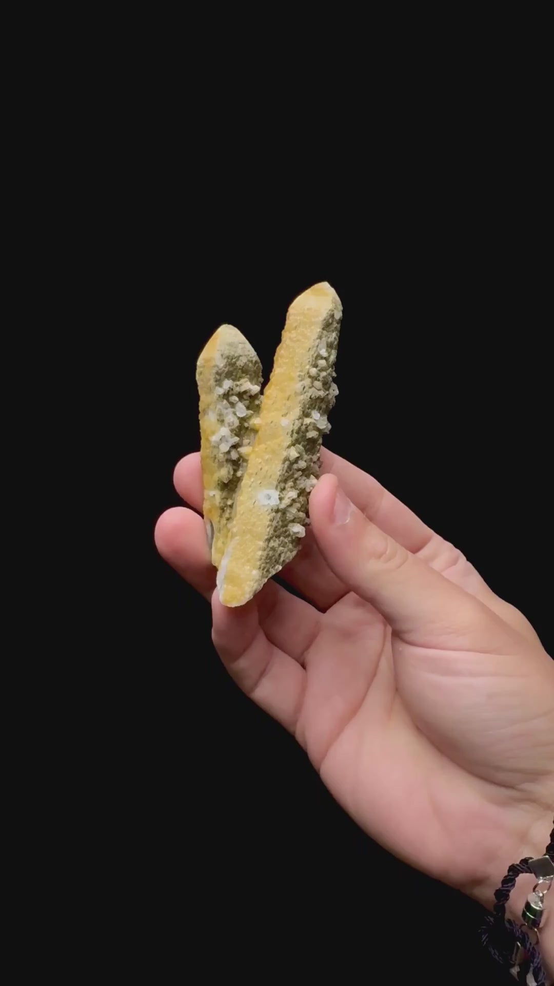 Specimen rotation video 0269