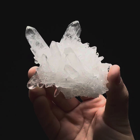 Specimen rotation video 301
