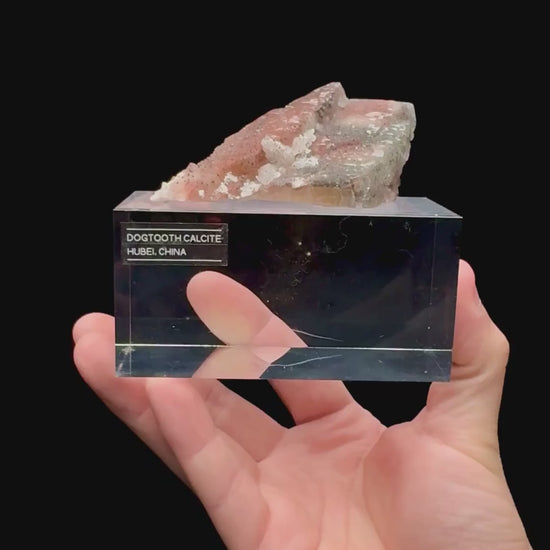 Specimen rotation video 108