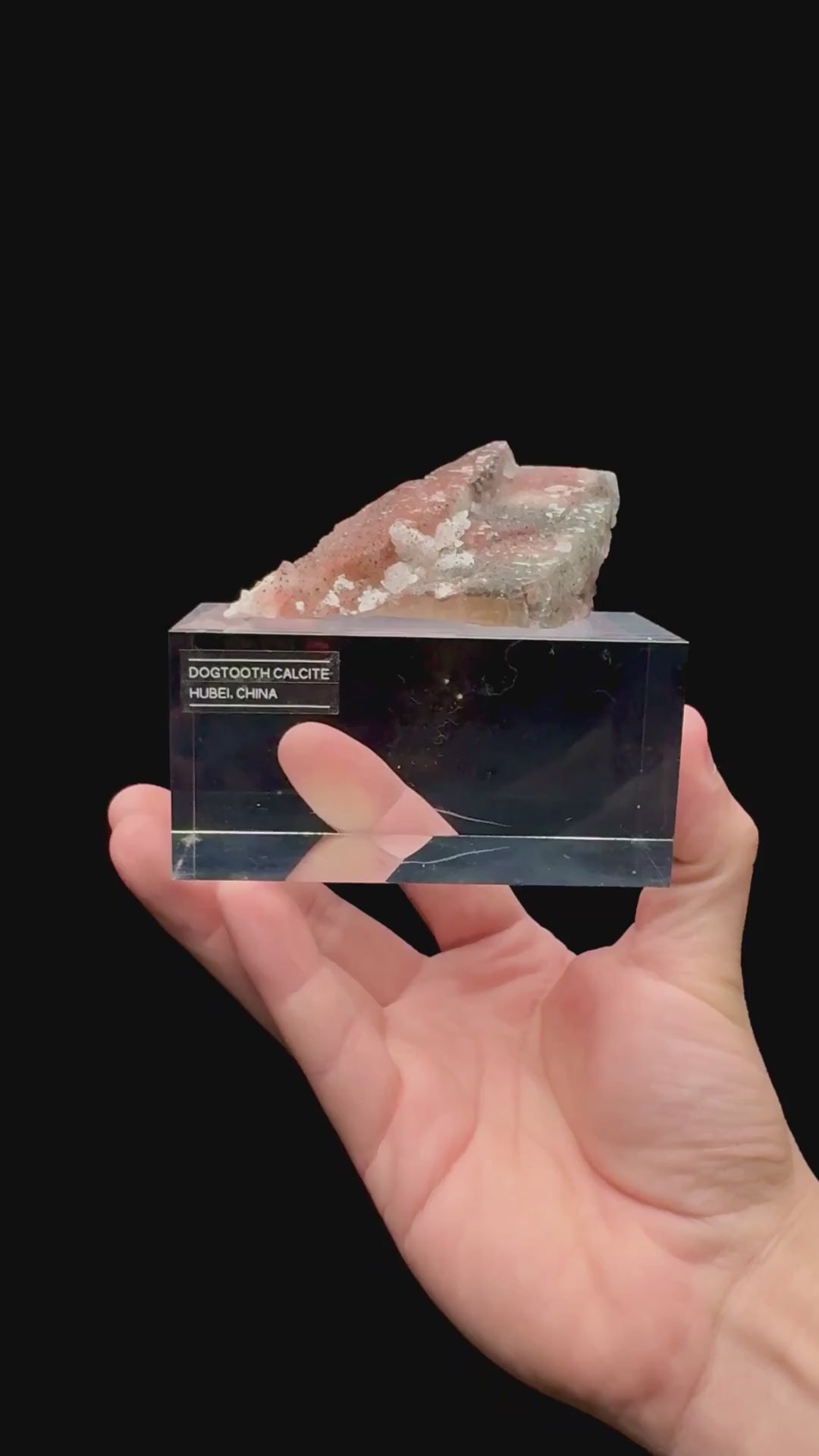 Specimen rotation video 108