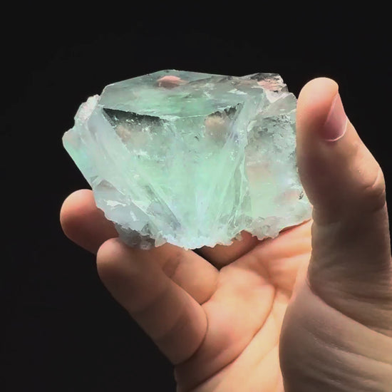 Specimen rotation video 303