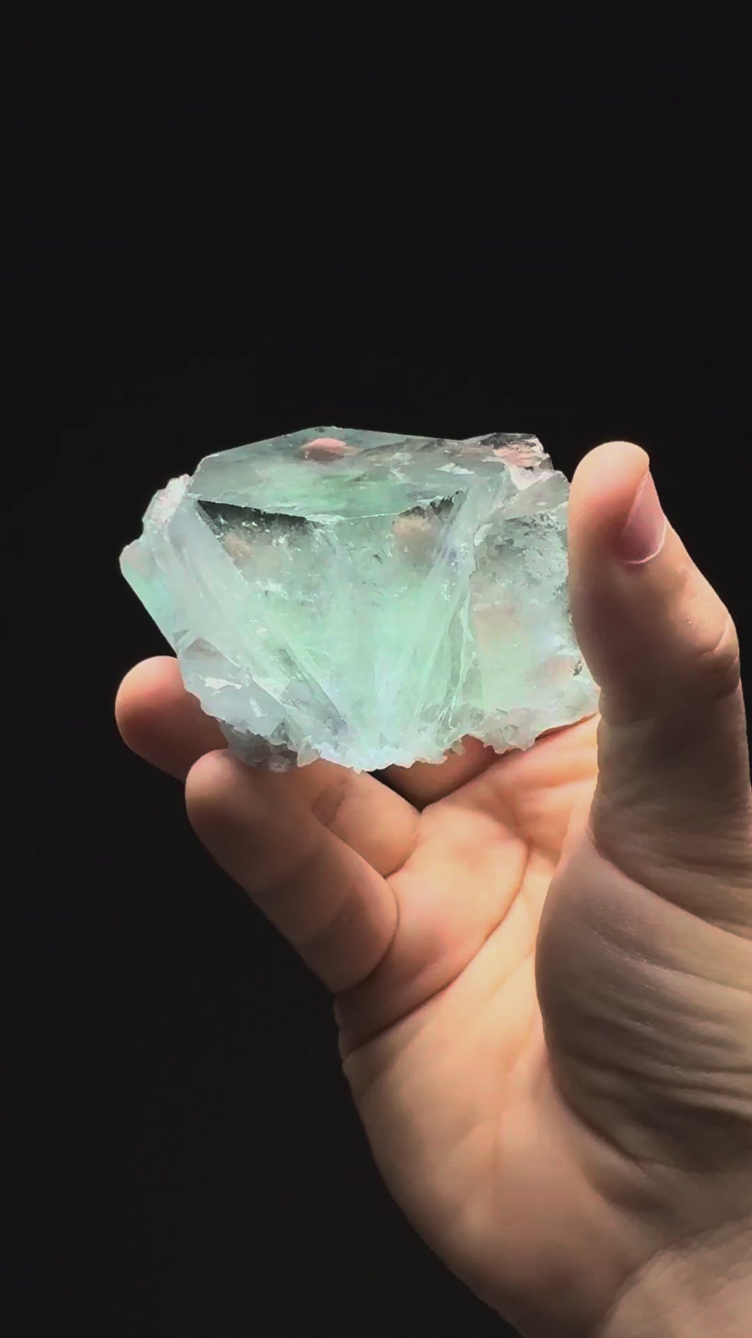 Specimen rotation video 303