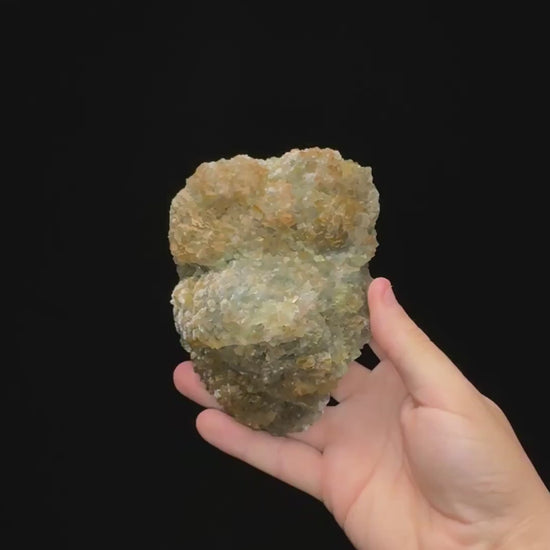Specimen rotation video 0714