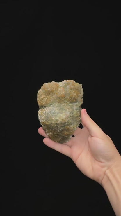 Specimen rotation video 0714