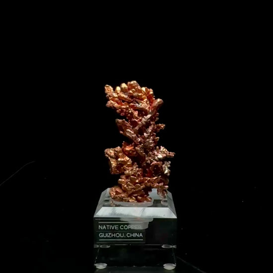 Specimen rotation video 0748