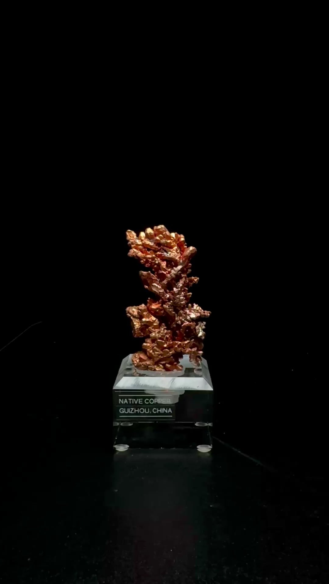 Specimen rotation video 0748