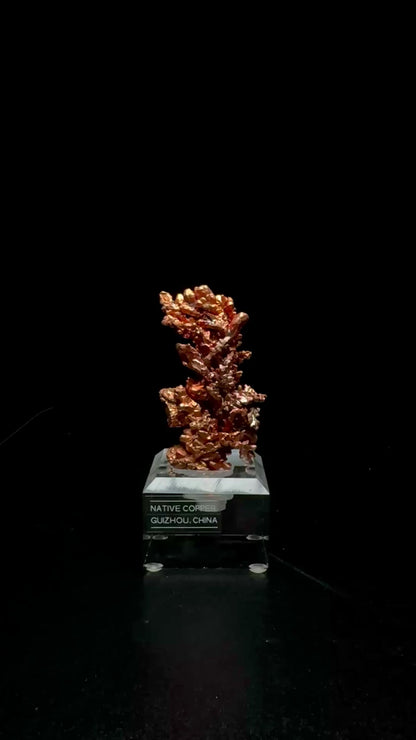Specimen rotation video 0748