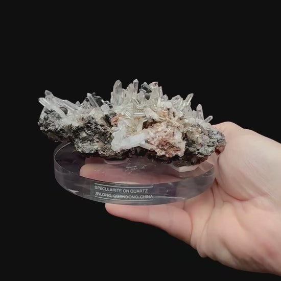 Specimen rotation video 211