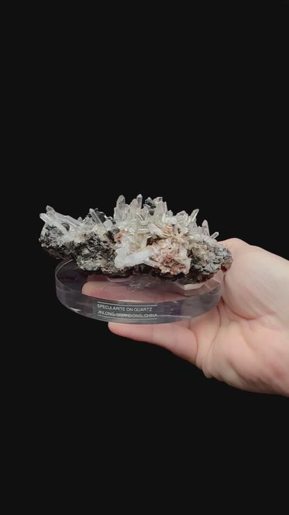 Specimen rotation video 211