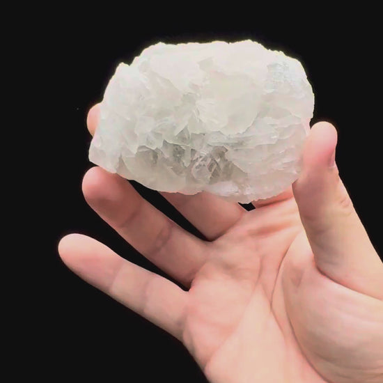 Specimen rotation video 606