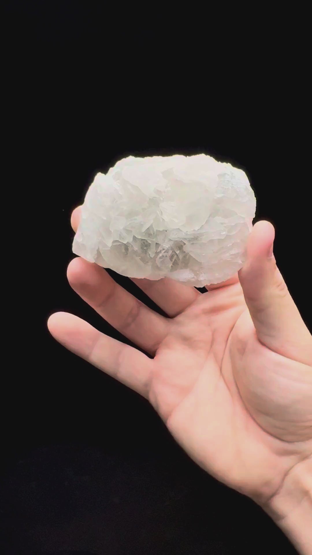 Specimen rotation video 606
