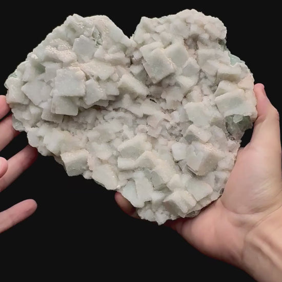 Specimen rotation video 127