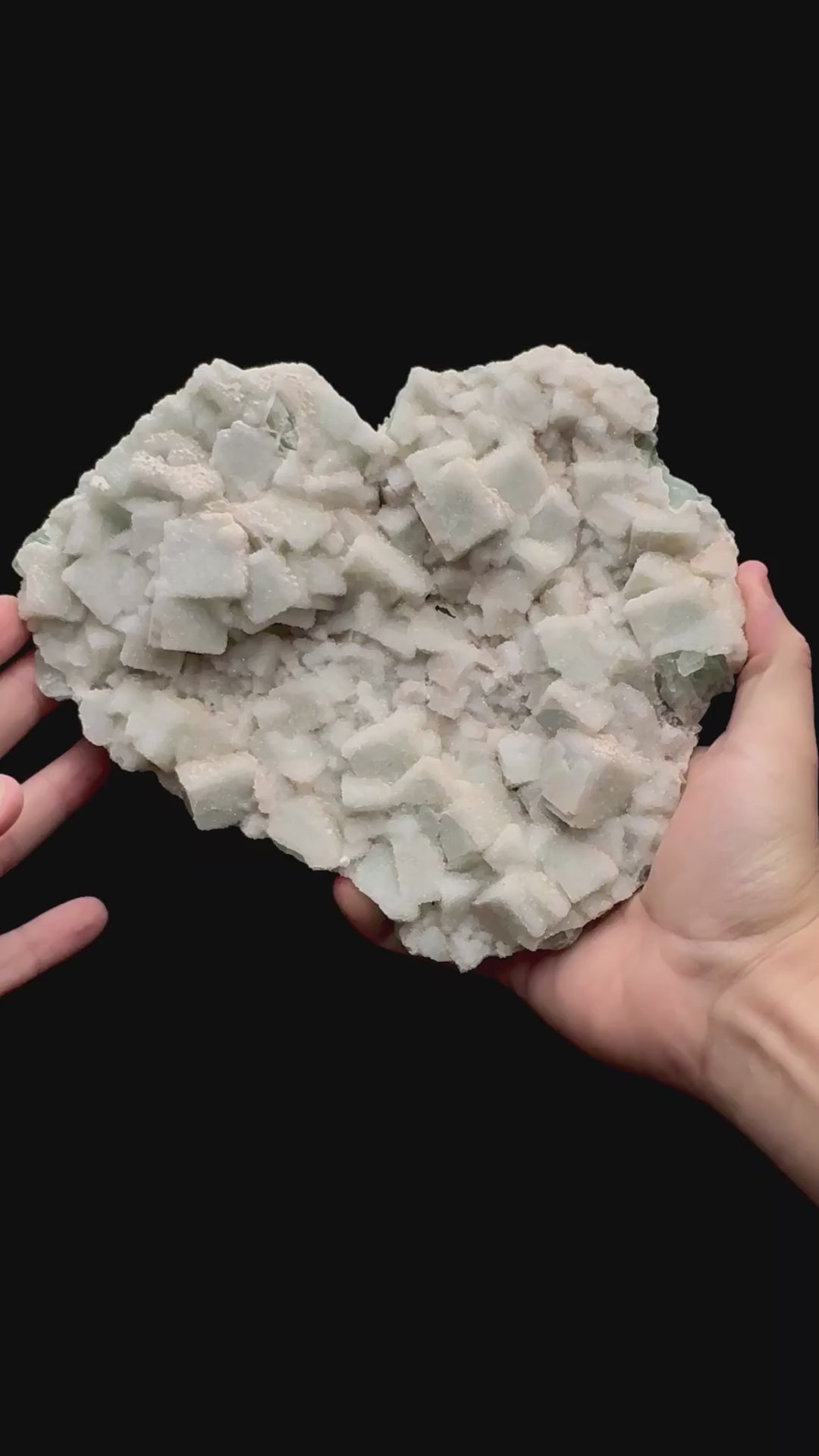 Specimen rotation video 127