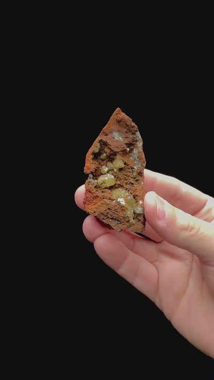 Specimen rotation video 112