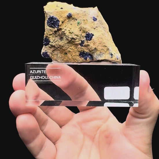 Specimen rotation video 456